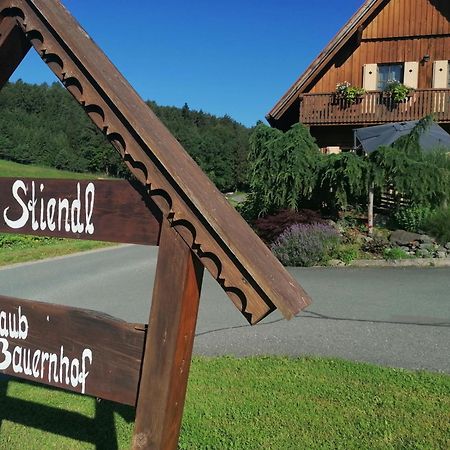 Am Jaukhof Familie Stiendl Villa Neudorf im Sausal Eksteriør billede